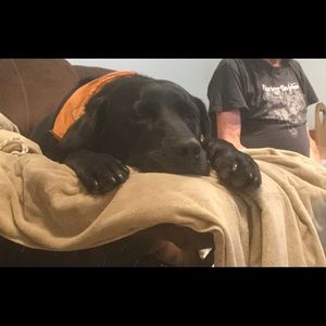 Meet your Posher, Tracey